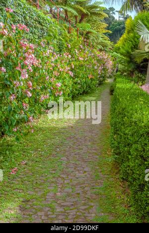 Giardino Subtropic al Giardino Botanico di Funchal, Madeira, Portogallo Foto Stock