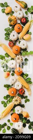 Layout floreale autunnale. Posa piatta di zucche autunnali, mele di stagione, pere, mais e foglie su sfondo bianco, vista dall'alto, composizione verticale. Halloween, Ringraziamento, decorazione d'autunno Foto Stock