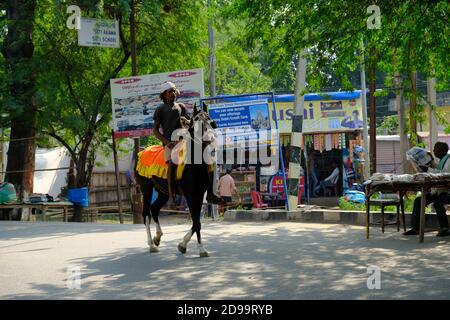 India Bodh Gaya - Cavallo e pilota nella zona della città Foto Stock