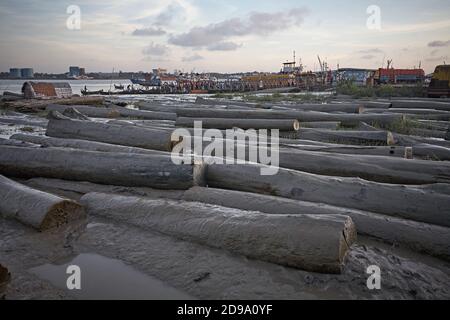 Chittagong, Bangladesh, 2009 luglio - una grande spedizione di legname al porto è in attesa di essere trasportato via nave. Foto Stock