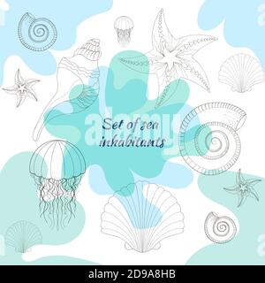 Set di cea. Illustrazione disegnata a mano, linee. Raccolta di bozzetti di varie conchiglie di molluschi di diverse forme. Illustrazione Vettoriale