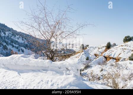 Inverno nelle montagne dell'Uzbekistan. Sulla strada per Beldersay resort. La catena montuosa di Tian Shan Foto Stock