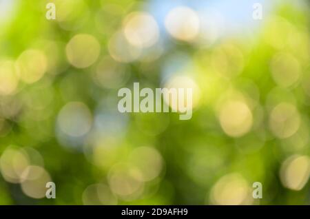 Bokeh verde offuscato, sfondo verde astratto Foto Stock