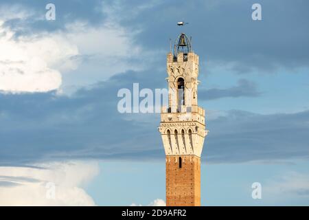 Vista in dettaglio della cima della Torre del Mangia bagnata dalla luce dorata, Siena, Toscana, Italia Foto Stock