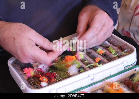 Primo piano mani di mans maturo mettendo la sua mano fatta pesca vola nella sua scatola di pesca bianca Foto Stock