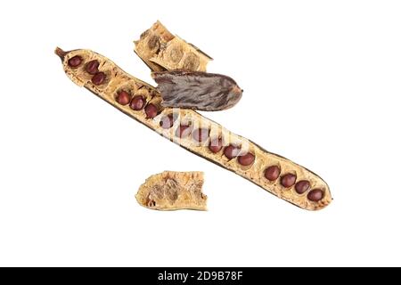 Pod carrub isolato. Carruba essiccata baccello con semi isolati su sfondo bianco. Foto Stock