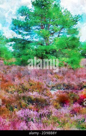 Illustrazione acquerello del paesaggio del fiore della brughiera in Germania. Foto Stock