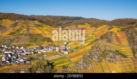 Villaggio del vino Mayschoss con vigneti di colore autunno sui pendii terrazzati esposto a sud in autunno, valle Ahr, Eifel, Renania-Palatinato, Germania Foto Stock