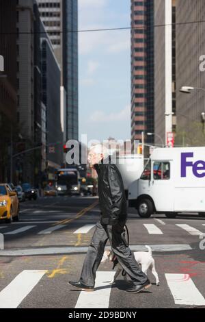 NEW YORK, USA - 27 aprile 2016: Animali e i loro proprietari per le strade della grande città. Uomo anziano con un piccolo cane bianco per le strade di Manhattan Foto Stock