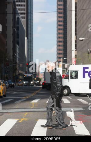 NEW YORK, USA - 27 aprile 2016: Animali e i loro proprietari per le strade della grande città. Uomo anziano con un piccolo cane bianco per le strade di Manhattan Foto Stock