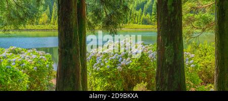 Il lago di Canary's Lagoon sull isola Sao Miguel, arcipelago delle Azzorre, Portogallo Foto Stock