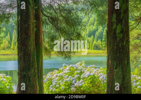 Il lago di Canary's Lagoon sull isola Sao Miguel, arcipelago delle Azzorre, Portogallo Foto Stock