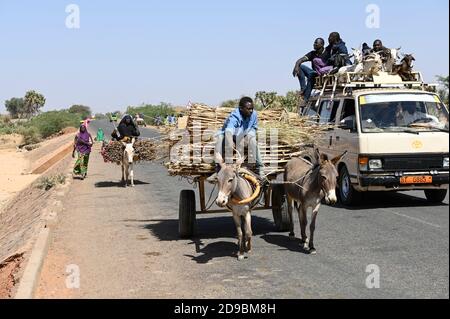 NIGER, villaggio Namaro, trasporto rurale, la gente va al mercato da asino carrello e mini bus / Dorf Namaro, trasporto zum Markt Foto Stock