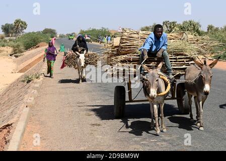 NIGER, villaggio Namaro, trasporto rurale, la gente va al mercato da carrello asino / Dorf Namaro, trasporto zum Markt Foto Stock