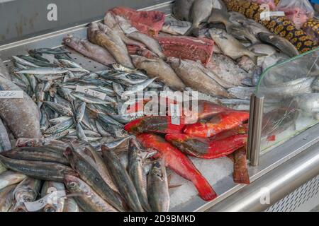 Sebastes e altri pesci al banco nel mercato del pesce, Ponta Delgada, Azzorre, Portogallo Foto Stock