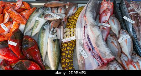 Sebastes e altri pesci al banco nel mercato del pesce, Ponta Delgada, Azzorre, Portogallo Foto Stock