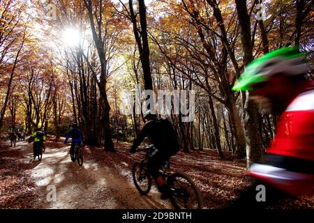 Ciclisti nella faggeta secolare di Canfato in autunno. Il bosco si trova nella Riserva Naturale di Monte San Vicino e Canfato, in Marche Centra Foto Stock