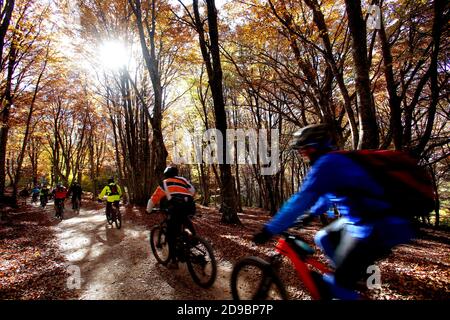 Ciclisti nella faggeta secolare di Canfato in autunno. Il bosco si trova nella Riserva Naturale di Monte San Vicino e Canfato, in Marche Centra Foto Stock