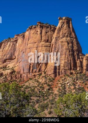 Scogliere lungo il Monument Canyon Trail, Colorado National Monument vicino a Grand Junction, Colorado. Foto Stock