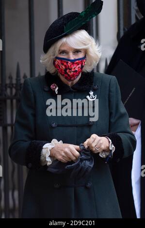 La Duchessa di Cornovaglia, patrono della fabbrica del papavero, indossando una maschera ricoperta di papavero, durante una visita al campo della memoria, nel suo 92° anno, all'Abbazia di Westminster a Londra, in vista del giorno dell'armistizio. Foto Stock