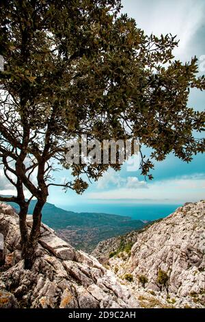 Vista sulla città di maiorca Sóller da Serra de Tramuntana, Mallorca Foto Stock