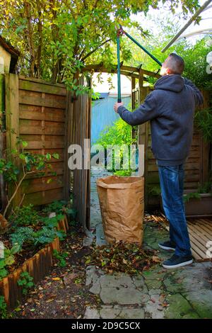 Un uomo che intagliava i suoi alberi nel suo giardino con un secateur. Mazzo di foglie a terra in autunno. Potatura prima dell'inverno. Foto Stock