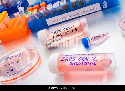 Fiale con campioni di SARS-COV-1 preparati a freddo in uno studio epiedomologico di laboratorio su SARS-COV-2 Covid-19, immagine concettuale Foto Stock