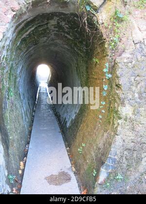 L'ingresso a forma di ferro di cavallo al Traforo Horse di grado II sotto il Grand Union Canal di Cosgrove, Northamptonshire. Foto Stock