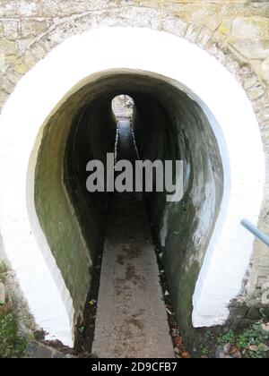 L'ingresso a forma di ferro di cavallo al Traforo Horse di grado II sotto il Grand Union Canal di Cosgrove, Northamptonshire. Foto Stock