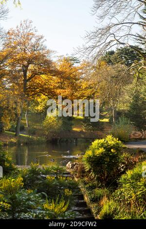 Colore autunnale nel Barnes Park, Sunderland, Inghilterra, Regno Unito Foto Stock