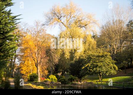 Colore autunnale nel Barnes Park, Sunderland, Inghilterra, Regno Unito Foto Stock