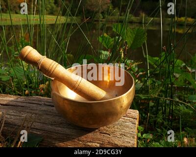 Ciotola cantata su un log di legno sul bordo di un lago Foto Stock