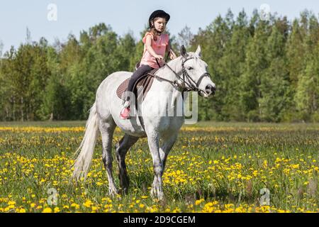 La bambina in rosa cavalcava il cavallo bianco in estate soleggiato giorno Foto Stock