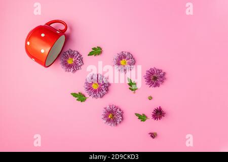 Layout creativo fatto di caffè o tè rosso con tazzina puntini con crisantemi rosa su sfondo rosa, piatto Foto Stock