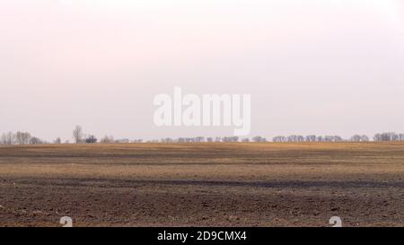 Campo agricolo in una notte nuvolosa di primavera. Foto Stock