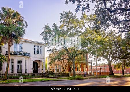 Case storiche nella Chiesa Street East Historic District line Government Street, 31 ottobre 2020, a Mobile, Alabama. Foto Stock