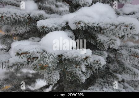 Primo piano di albero di Natale , fiocco di neve. Natale e Capodanno sfondo. tonalità di colore vintage. Foto Stock