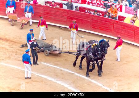 Killed bull trascinò fuori dall'arena di Plaza Mexico, Città del Messico, Messico Foto Stock