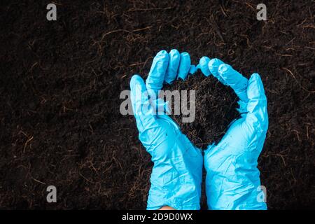 Mano di contadino o donna ricercatore indossare guanti che tengono abbondanza fertile terreno nero per l'agricoltura o piantare, concetto di Giornata Mondiale del suolo, giorno della Terra Foto Stock