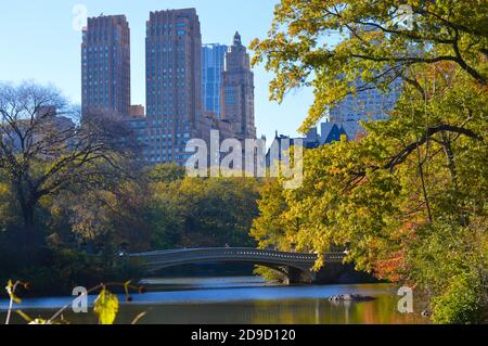 Autunno fogliame a Central Park a New York City il 4 novembre 2020. Foto Stock