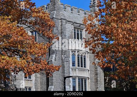 Edificio universitario in pietra di stile gotico con alberi di quercia in autunno colori Foto Stock