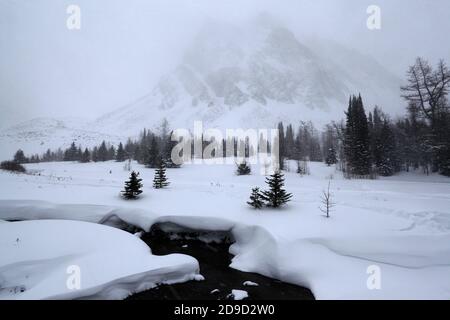 Stagioni in montagna Foto Stock