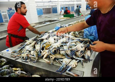 Il vivace mercato del pesce di mattina presto a Mutrah, Oman. Foto Stock