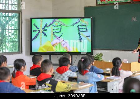 Un gruppo di studenti primari prende la classe di conoscenza didattica sui vari prodotti agricoli nel campus prima della Giornata Mondiale dell'alimentazione, Hengya Foto Stock