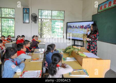 Un gruppo di studenti primari prende la classe di conoscenza didattica sui vari prodotti agricoli nel campus prima della Giornata Mondiale dell'alimentazione, Hengya Foto Stock