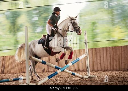 Cavalcare un salto a cavallo barriera bar bella ragazza giovane Foto Stock