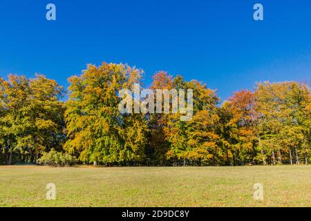 Sensazioni autunnali nella bellissima valle di Werra - Turingia / Germania Foto Stock