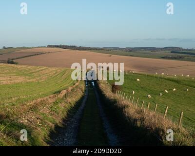 Una passeggiata nel tardo pomeriggio su Cold Kitchen Hill, Wiltshire, con le forme del paesaggio modellato dal sole basso e dorato Foto Stock