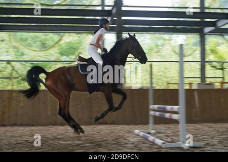 Cavalcare un cavallo salto barriera bar giovane donna Foto Stock