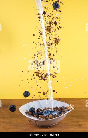 fiocchi d'avena e cereali di cioccolato con prugne e uvetta cadere dall'aria in una ciotola Foto Stock